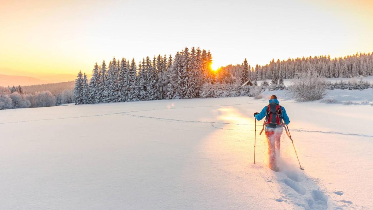 Chambre Privee Au Pied Des Pistes - Chambre Chez L'Habitant - Chaletnelda Com 拉莫哈 外观 照片