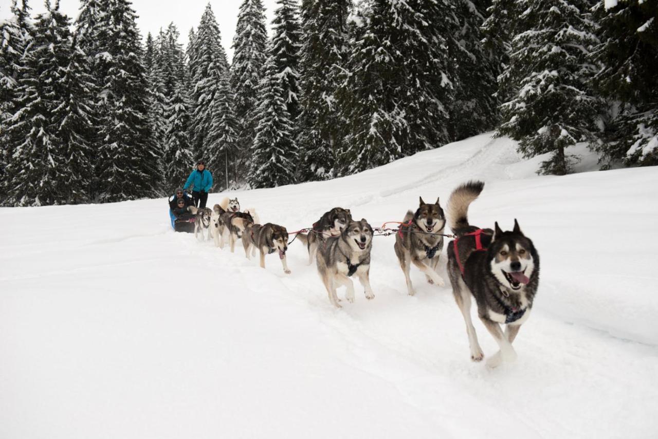 Chambre Privee Au Pied Des Pistes - Chambre Chez L'Habitant - Chaletnelda Com 拉莫哈 外观 照片